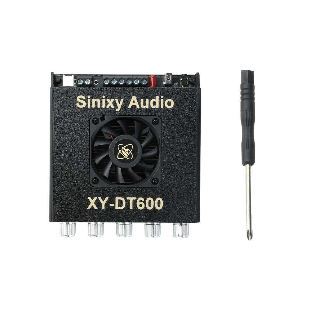 XY Dt600 แอมพลิฟายเออร์บลูทูธ  - Es9018 Dac บทวิจารณ์และราคา