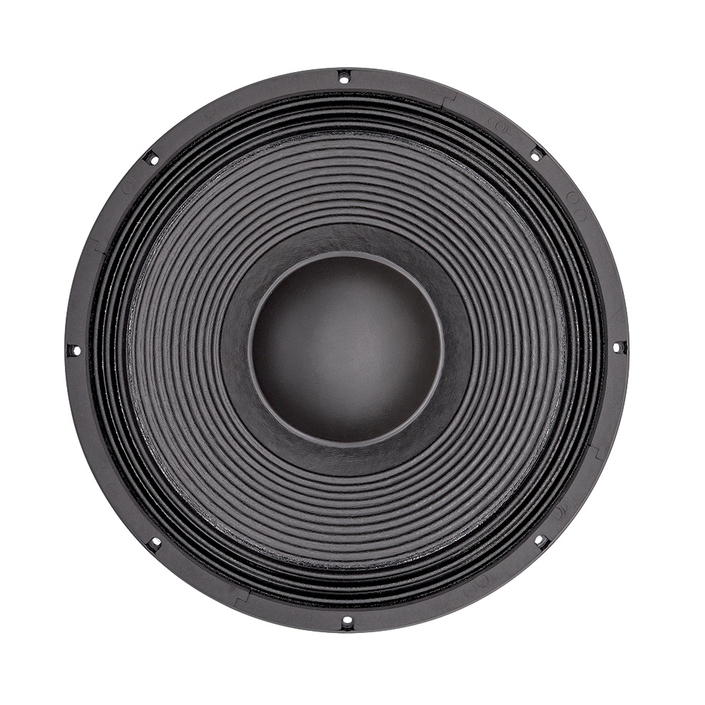 ระบบเสียงระดับมืออาชีพ 21 นิ้ว - Subwoofer บทวิจารณ์และราคา